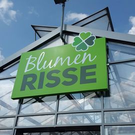 Blumen Risse GmbH & Co. KG in Mülheim Stadt Mülheim-Kärlich