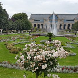 Flora / Botanischer Garten in Köln