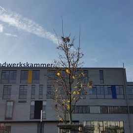 Zentrum für Ernährung und Gesundheit Handwerkskammer in Koblenz am Rhein