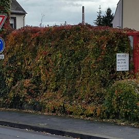 Meyers Imbissbetrieb in Mayen