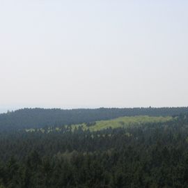 Ausblick von Aussichtsturm auf dem Köppel