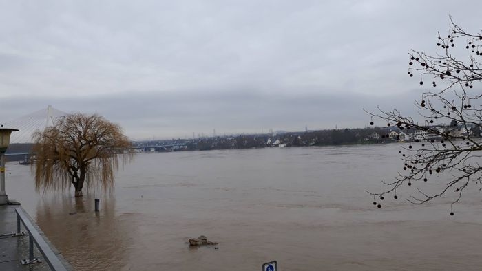 Hochwasser 6.Januar 2018 Der Deich ist zu.