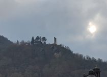 Bild zu Die Ruine der Grevenburg