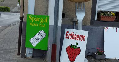 Adams Werner Spargel und Kartoffeln direkt vom Erzeuger in Polch