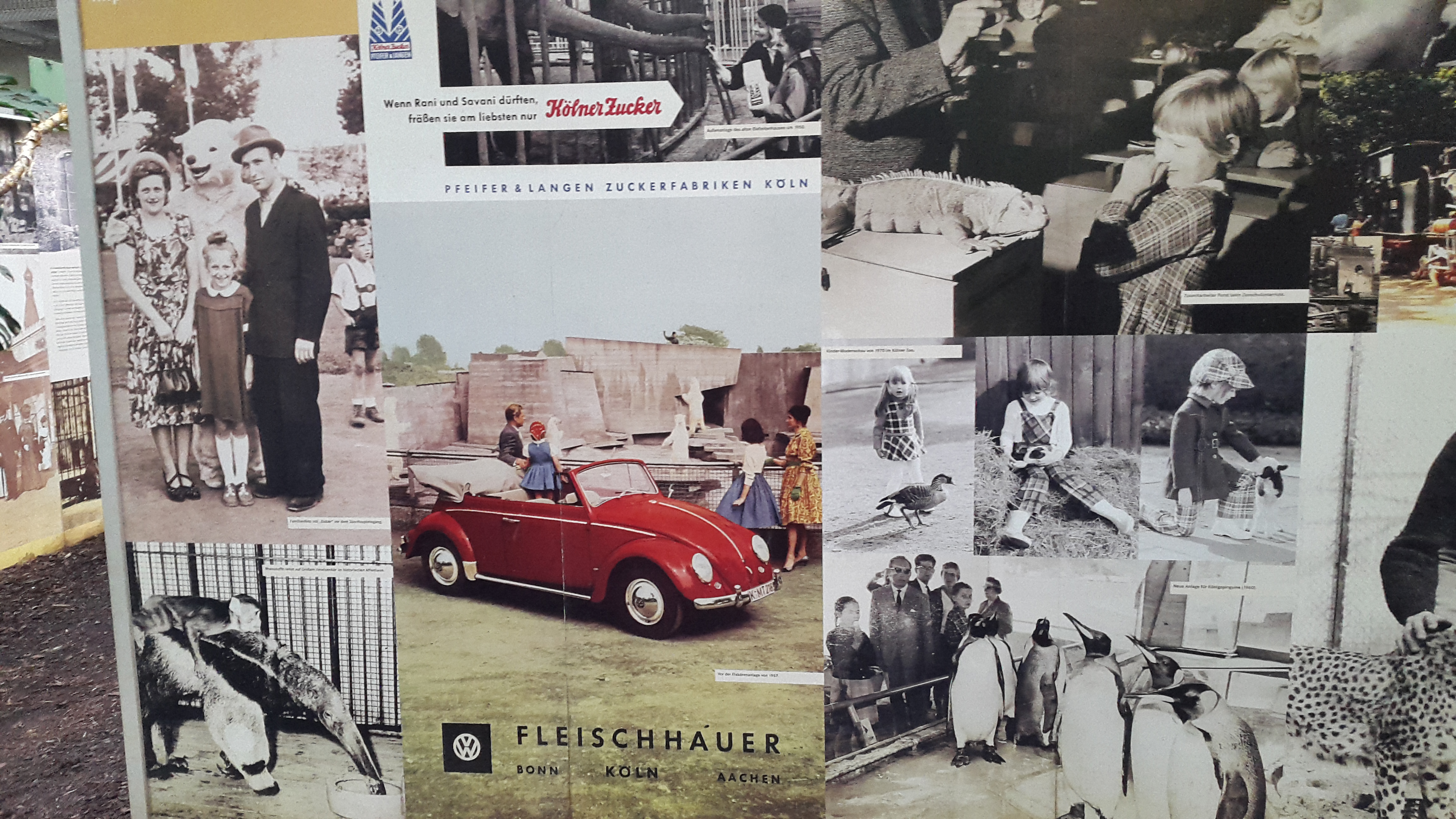 Bild 1 Autohaus Jacob Fleischhauer GmbH & Co. KG in Köln