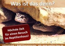 Bild zu Thomas Lücke Reptilienhaus