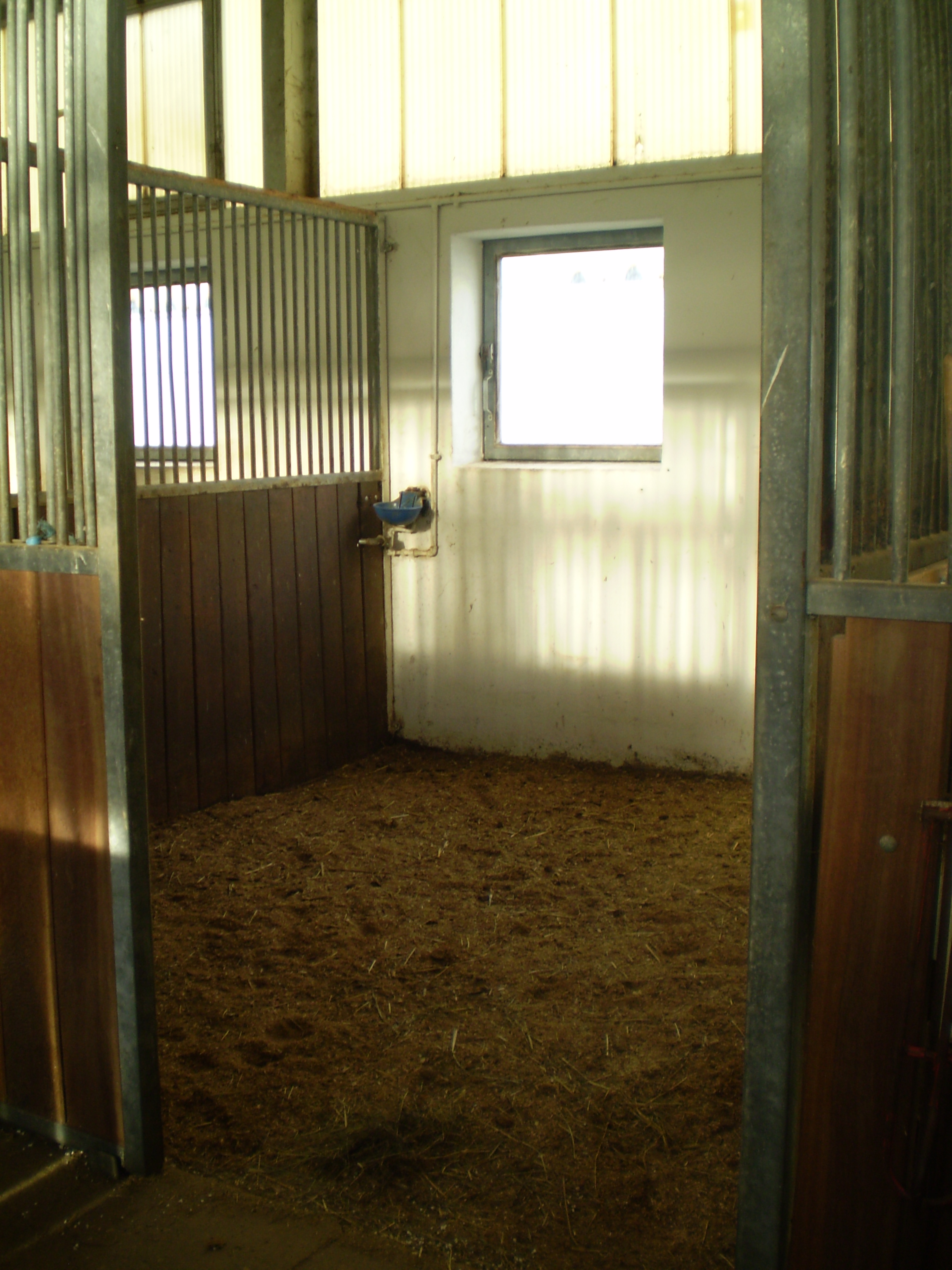 Unsere hellen und geräumigen Pferdboxen