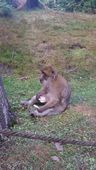 Nutzerbilder Tierpark Gera Waldzoo