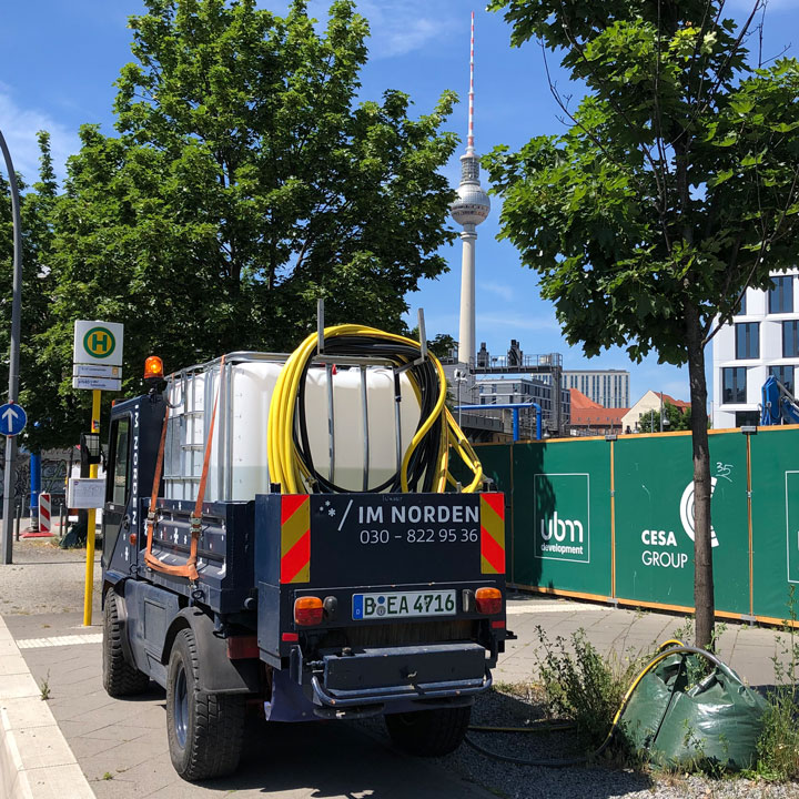 Bewässerung von Straßenbäumen in Berlin IM NORDEN GmbH