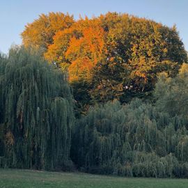 Stadtpark Steglitz 