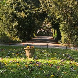 Stadtpark Frühling 