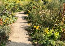 Bild zu Kräutergarten Kloster Lehnin