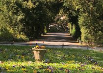 Bild zu Stadtpark Steglitz