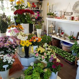 Tenberken Irmgard Blumenhandel u. Blumenkasten Inh. Irmgard Tenberken Florist in Moers