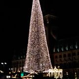 Weihnachtsmarkt Hamburg in Hamburg