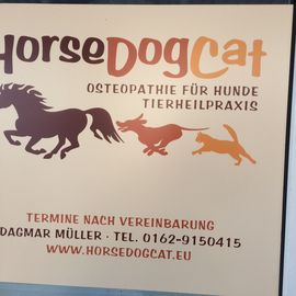 HorseDogCat - Osteopathie für Hunde in Oldenburg in Holstein