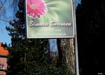 Bild zu Blumen Sörensen "Blütenwerk"