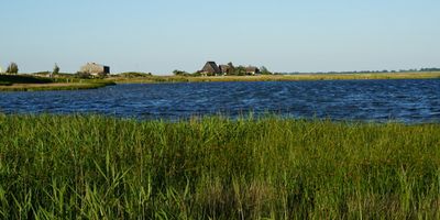 Graswarder, Naturschutzgebiet in Heiligenhafen