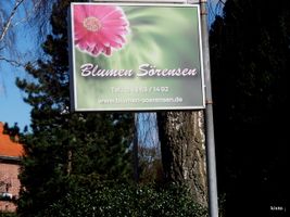 Bild zu Blumen Sörensen "Blütenwerk"