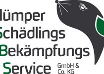 Bild zu Plümper Schädlingsbekämpfungsservice GmbH & Co. KG