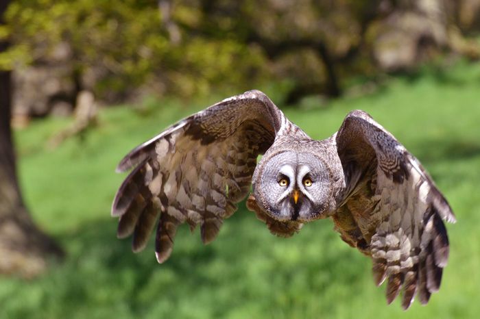 Nutzerbilder Tierpark Sababurg