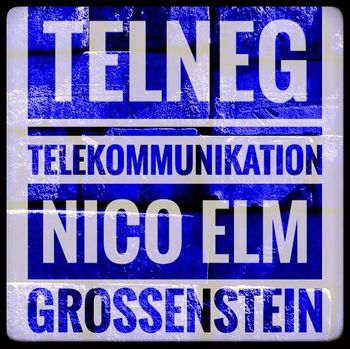 Logo von TelNEG - Telekommunikation Nico Elm Großenstein in Großenstein