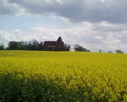 Bild zu Dorfkirche Hohenkirchen