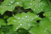 Nutzerbilder Botanischer Garten