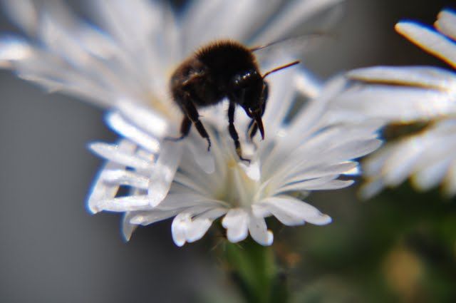 Nutzerbilder Botanischer Garten