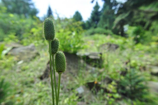 Nutzerbilder Botanischer Garten