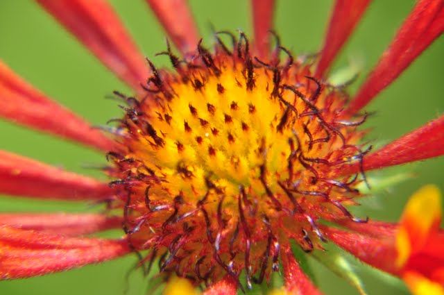 Nutzerbilder Botanischer Garten