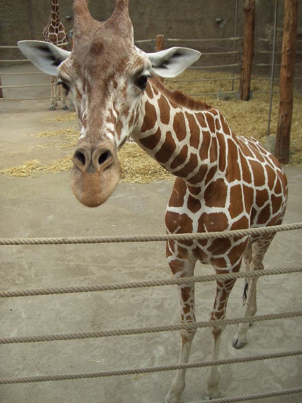 Bild 145 ZOO Duisburg AG in Duisburg