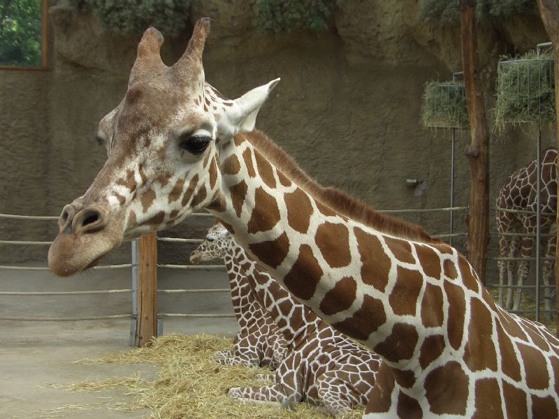 Bild 150 ZOO Duisburg AG in Duisburg