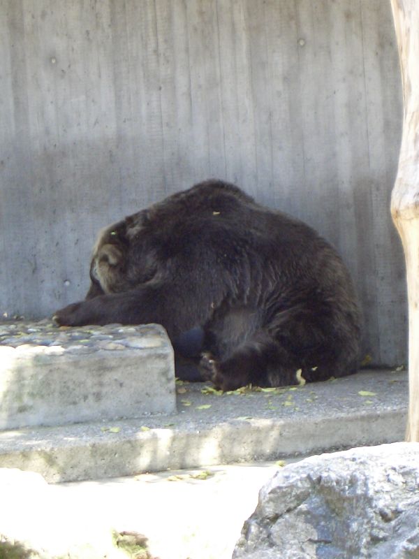 Bild 186 ZOO Duisburg AG in Duisburg