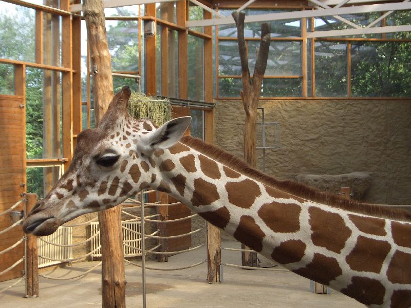 Bild 151 ZOO Duisburg AG in Duisburg