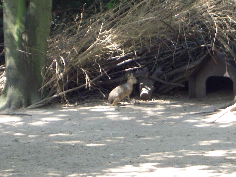 Bild 184 ZOO Duisburg AG in Duisburg