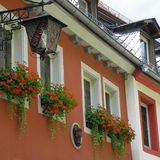 Roter Ochsen in Heidelberg