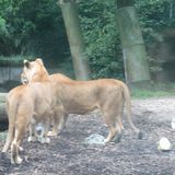 Zoo Duisburg in Duisburg