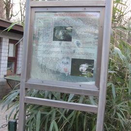 Tiergehege im Kaisergarten Oberhausen in Oberhausen im Rheinland