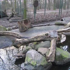 Tiergehege im Kaisergarten Oberhausen in Oberhausen im Rheinland