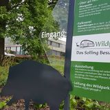 Niedersächsische Landesforsten Wildpark Neuhaus in Neuhaus Stadt Holzminden