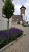 Nutzerbilder Weserhotel Schwager