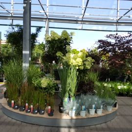 Gartencenter Schley's Blumenparadies in Bochum Wattenscheid