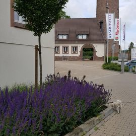 Weserhotel Schwager in Holzminden