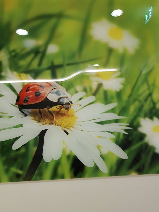 Nutzerbilder St. Ansgar-Krankenhaus