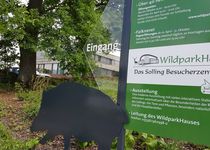 Bild zu Niedersächsische Landesforsten Wildpark Neuhaus