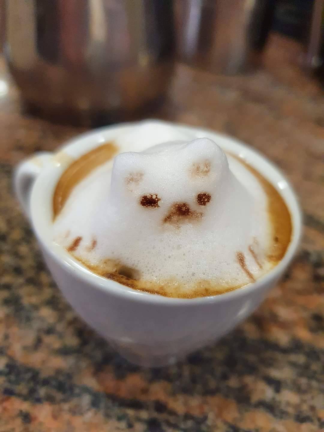 cafe kitty