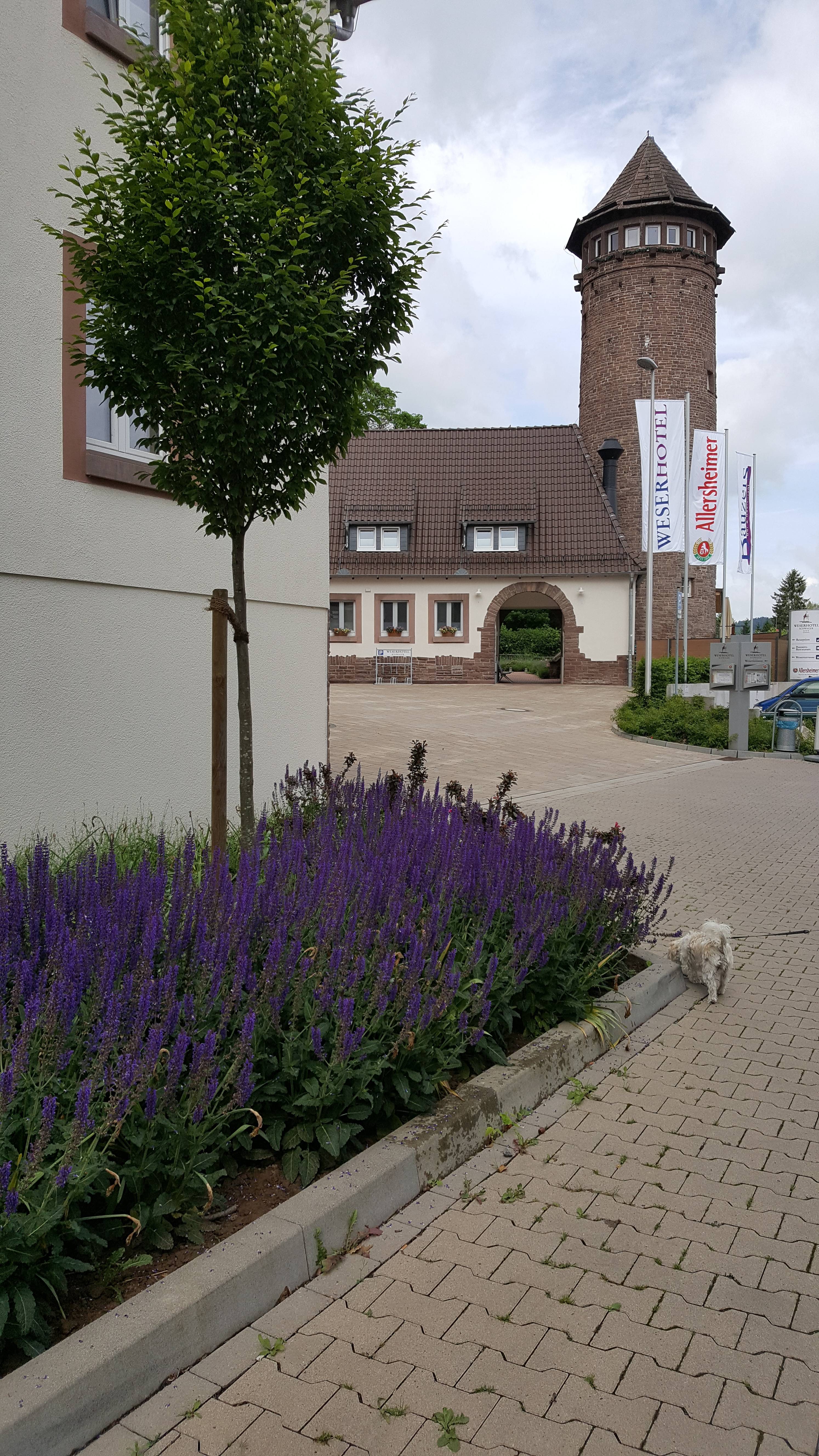 Bild 14 Weserhotel Schwager in Holzminden