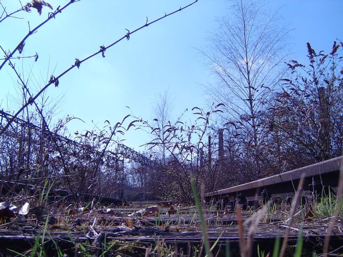 Nutzerbilder Landschaftspark Duisburg-Nord