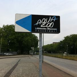 Aquazoo-Löbbecke Museum Düsseldorf in Düsseldorf